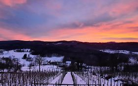 Vineyard Cottage Kulovec