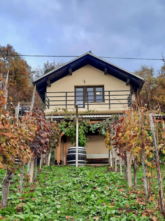 Vineyard Cottage Kulovec Ursna Sela Extérieur photo
