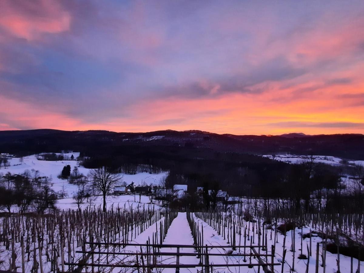 Vineyard Cottage Kulovec Ursna Sela Extérieur photo